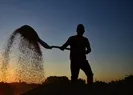 Çiftçilerin beklediği haberi Kirişci açıkladı
