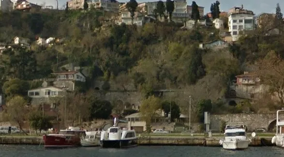 Kurul durdurdu, Koç umursamadı! Tarihi alanda 14 türde 55 ağaç kestiler