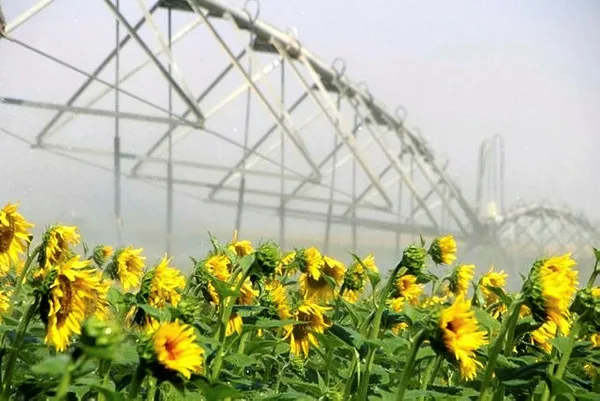 Tarım ve Orman Bakanı Bekir Pakdemirli’den TİGEM Ceylanpınar Sulama Projesi açılışında flaş açıklamalar