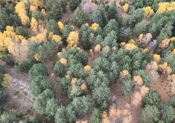 Kars'ta sonbaharda renk cümbüşü yaşanıyor
