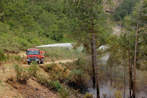 Hatay'daki orman 2 gündür yanıyor - 2