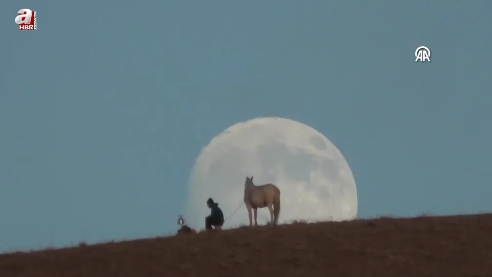 Van’da kartpostallık an! Böyle kayda geçti