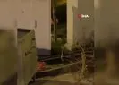 Aç kalan tilki şehir merkezine indi