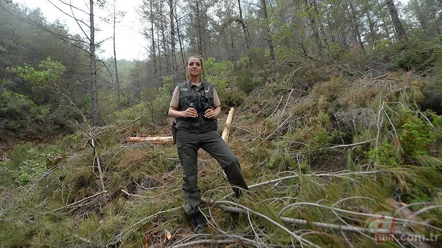 OGM personel alımı başvurusu nasıl yapılır? 3850 Orman Genel Müdürlüğü personel alımı başvuru şartları nelerdir? 14