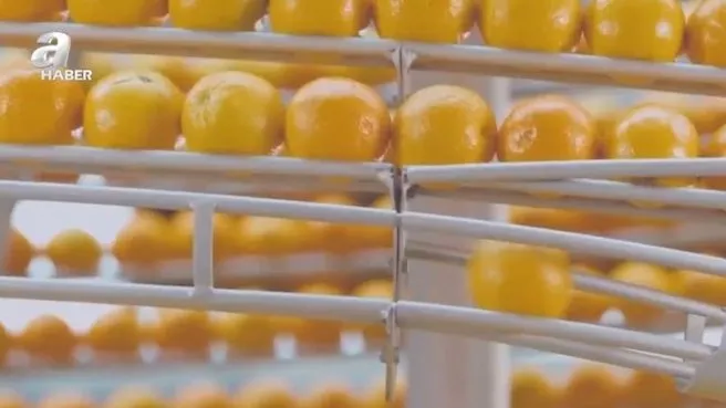 Portakal kabuğundan bardak yapan robot