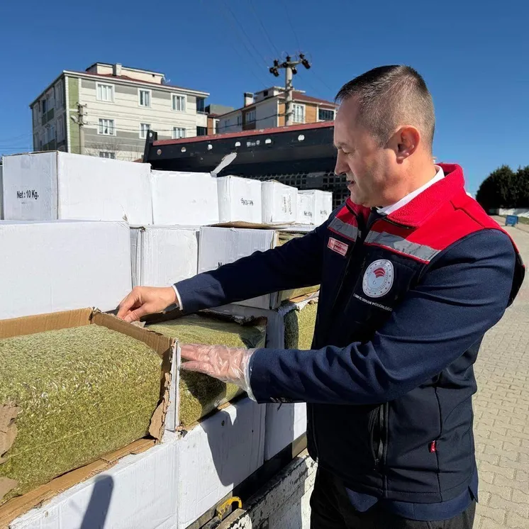 Binlerce kişiyi baklavayla zehirleyeceklerdi: Tekirdağ'da 2 ton aflatoksinli fıstık ele geçirildi