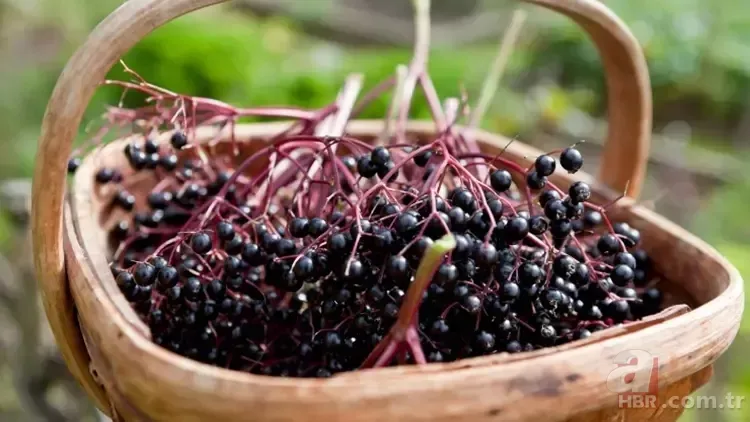 Metabolizma hızını yüzde 100'e çıkarıyor! Araştırmalarla kanıtlandı 3