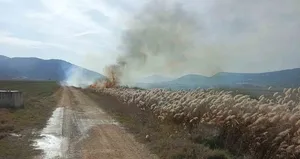 Bucak’ta arazi yangını