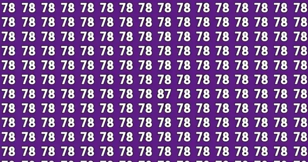 Sadece %1’i başarıyor: 78’lerin arasındaki 87’yi 7 saniyede bul