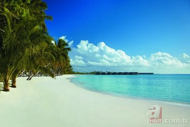 Maldivler’den “İngilizler”e rest 3