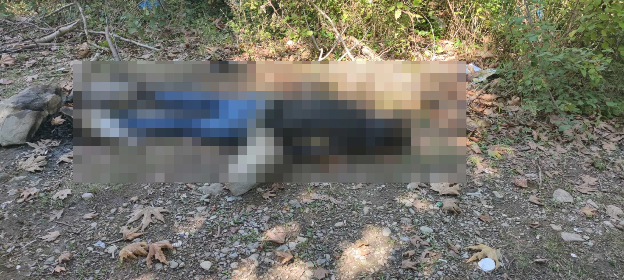 Dere kenarında kan donduran cinayet! 1 kişi gözaltında