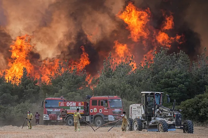 OGM’den 1 hafta için ’orman yangını riski’ uyarısı