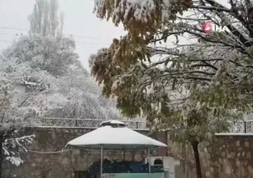 Başkale'de kar yağışı