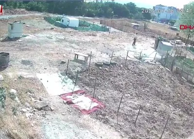 Esenyurt’ta köpek işkenceyle öldürüldü