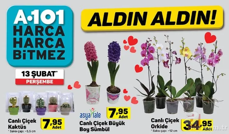 13 Şubat A101 aktüel ürünler kataloğu! A101’de Sevgililer Günü sürprizleri! İşte, A101 aktüel katalog… 16