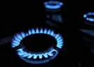 AB’den doğal gaz açıklaması