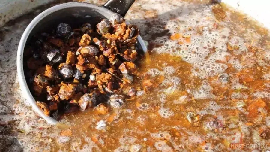 Canan Karatay'dan Sahur Mucizesi! Bu Besinle Enerji Dolu Bir Gün! 4