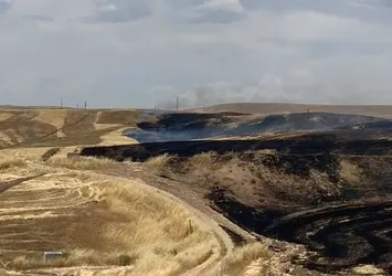 9 kişinin öldürüldüğü arazi kavgasında flaş detay! Askerlere de ateş açmışlar