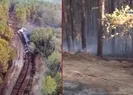 Pendik’te ormanlık alanda yangın