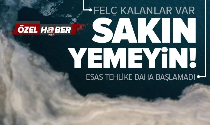 Marmara’da müsilaj kabusu! Marmara Denizi ölüyor mu? Uzmanlar uyardı: Sakın yemeyin, felç bırakıyor
