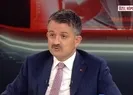 Orman yangınlarına nasıl müdahale ediliyor?