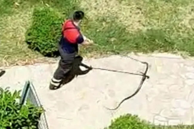 Osmaniye'de sitenin çocuk parkında yılan yakalandı! - 2