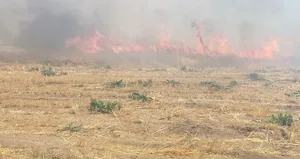 Adilcevaz’da arpa tarlasında yangın