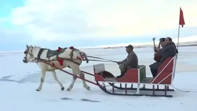 Çıldır Gölü’nde atlı kızak sezonu başladı!