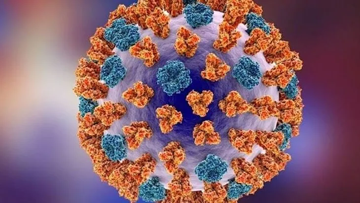 İnfluenza A mı İnfluenza B mi daha tehlikeli? İnfluenza B ölümcül mü? İnfluenza belirtileri neler?
