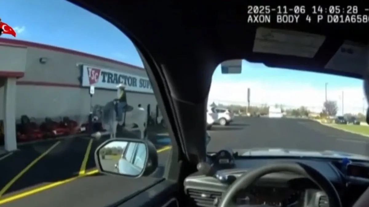 Polisi şoke eden manzara! Üstüne çıkıp fotoğraf çektirdi