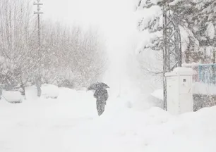 Bingöl'de tüm köy yolları kardan kapandı