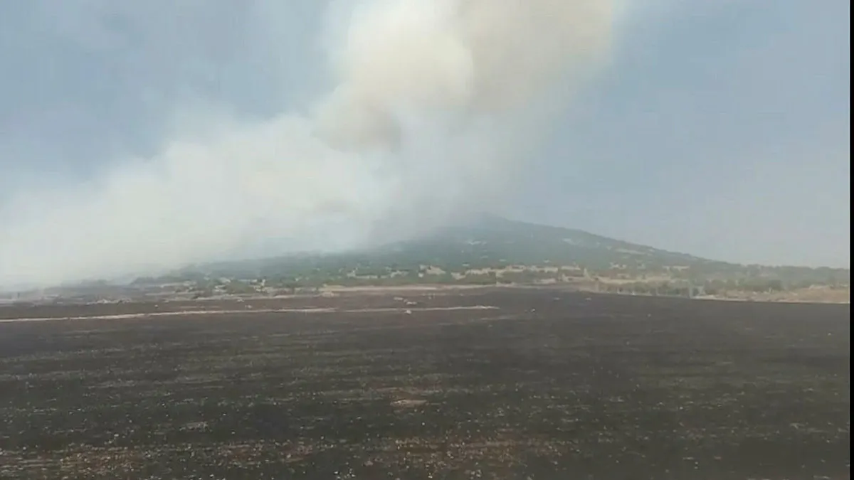 Kahramanmaraş'ta orman yangını