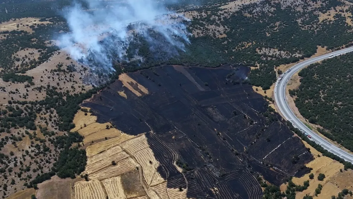 Kütahya'da tarladan ormana sıçrayan yangın kontrol altında: 3 helikopter, 20 kara aracı ve yaklaşık 150 personelle seferberlik