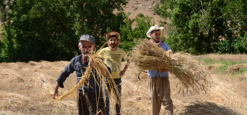 25 yıl sonra topraklarına geri döndüler! Hakkari'de huzur yeniden sağlandı...