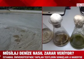Müsilaj test sonuçları ilk kez A Haber'de! Prof. Dr. Neslihan Özdelice milyonları uyardı!