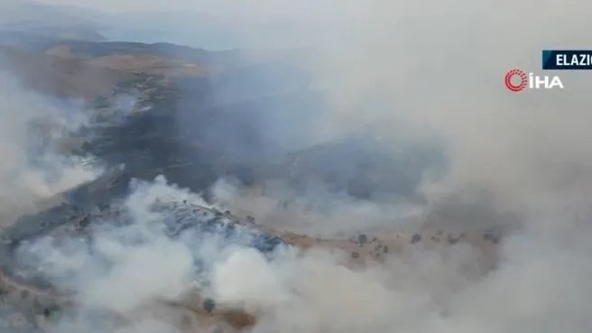 Elazığ’da orman yangını!