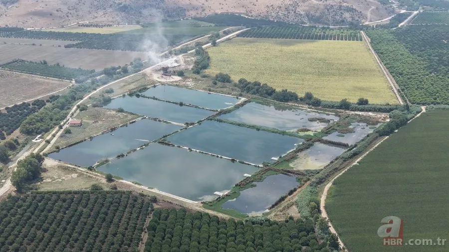 Adana'da çöp ve lağım kabusu! Mahalle sakinlerinden CHP'li belediyeye tepki: "Nefes alamıyoruz" 3