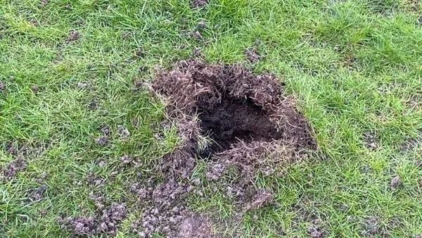 Almanya’daki şanslı Türk! Evinin bahçesine düştü: Tam 400 bin euro değerinde