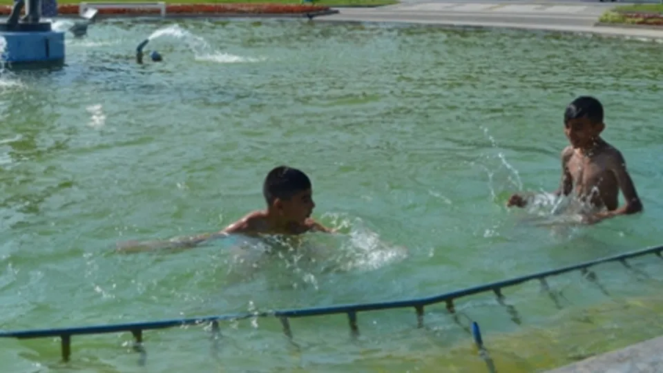 Süs havuzlarında büyük tehlike | Video