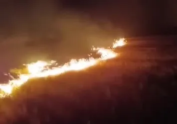 Ağrı’da 3 bin dönümlük tarla küle döndü