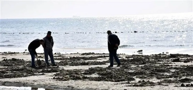 Tekirdag Da Deniz 15 Metre Cekildi A Haber En Son Haberler