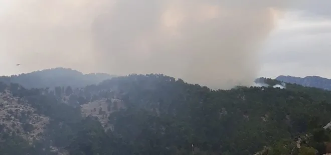 Manavgat’taki yangın söndürüldü