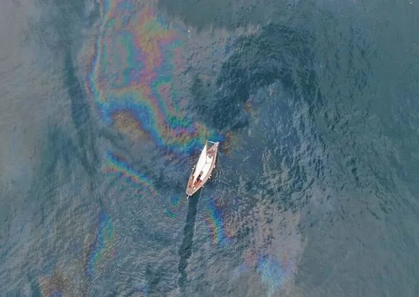 Marmara Denizi’nde canlıların yaşamını etkileyen atıklar gün yüzüne çıktı