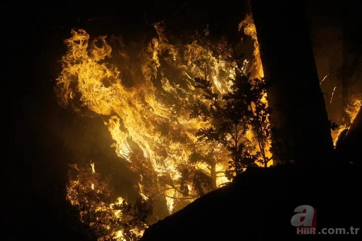 ABD’deki yangınlarda hayatını kaybedenlerin sayısı arttı