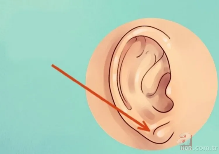 Kulak memesindeki çapraz çizgi ne işe yarar? 10