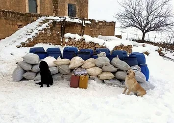 Mardin'de terör operasyonu