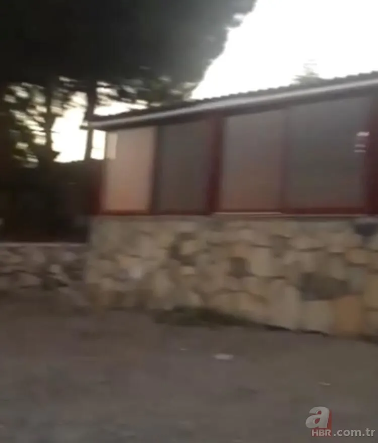 Sezen Aksu villasını satıyor! Belediye tarafından mühürlenmişti... 4