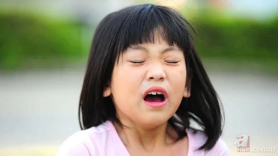 Bir anda gelen hapşırık ne anlama geliyor? Bağışıklık sisteminin gizli savunması 2