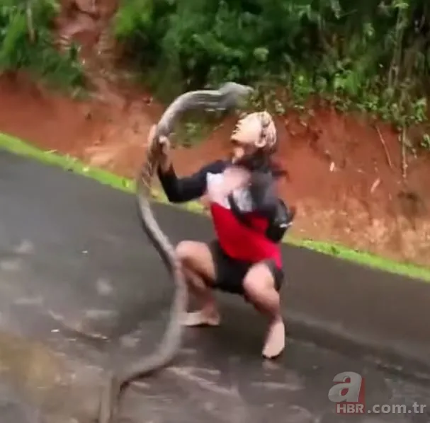 Eve giren kobra yılanıyla ölüm dansı yaptı! Tansiyon çıkaran anlar... 24