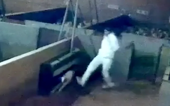 Yürek yakan görüntüler ülkeyi karıştırdı! Mezbahada kuzulara işkence kamerada